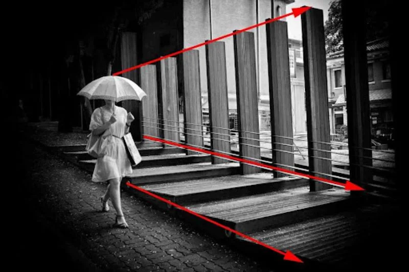 Bố cục của ảnh trắng đen hợp lý sẽ thu hút người xem
